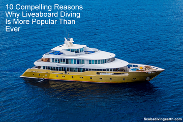 10 Compelling Reasons Why Liveaboard Diving Holidays Are Popular