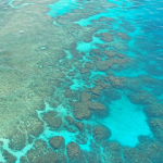 2 day liveaboard Great Barrier Reef