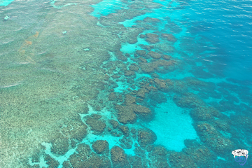 2 Day Liveaboard Great Barrier Reef (2 Day 1 Night Outer Barrier Reef)