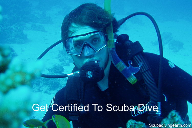 27 Rules For Safe Scuba Diving (Safety Tips To Become a Better Diver ...