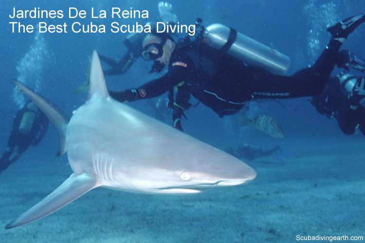 Jardines De La Reina Liveaboard (Best Cuba Scuba Diving)