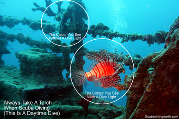 Why Use a Diving Torch Scuba Diving (It’s Not Just For Night Diving)
