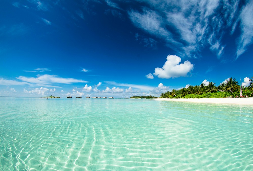 Amilla Fushi House Reef Dive (Felidhu Maldives)