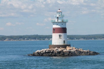 Are There Great White Sharks In Long Island Sound?