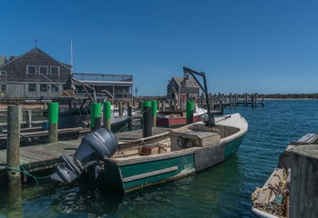 Are There Great White Sharks In Martha’s Vineyard?