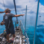 Australia Coral Sea Dreaming Liveaboard Review Australia Coral Sea Dreaming liveaboard review small