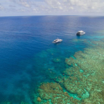 Australia Ocean Quest Liveaboard Review Australia Ocean Quest liveaboard review small