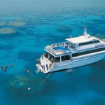 Australia Pro Dive Cairns liveaboard review small