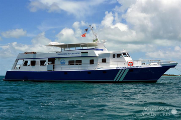Bahamas Aggressor Liveaboard Review: Top Liveaboard