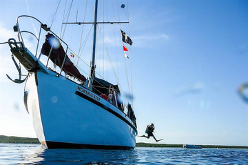 Bahamas Blackbeards Morning Star Liveaboard Review: Best Budget