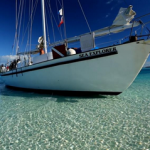 Bahamas Blackbeards Sea Explorer Liveaboard Review: Best Budget Bahamas Blackbeards Sea Explorer Liveaboard Review - Best Budget small