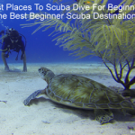Best Places To Scuba Dive For Beginners (10 Best Beginner Scuba Destinations) Best Places To Scuba Dive For Beginners - The Best Beginner Scuba Destinations small