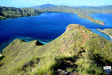 Best Budget Diving Liveaboard Labuan Bajo (10 Cheap Liveaboards)