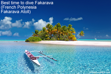 When Is The Best Time To Dive Fakarava (French Polynesia Fakarava Atoll)