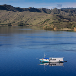 What Is The Best Time Of Year To Scuba Dive Komodo