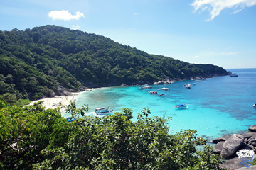 Book 3 Day 2 Night Or 2 Day 1 Night Liveaboard Similan Islands Thailand (Similan Islands 1 Or 2 Nights)