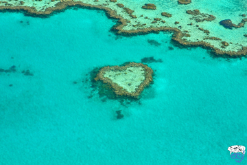 Book 3 Day Liveaboard Great Barrier Reef (4 GBR Liveaboards For 2 Nights)