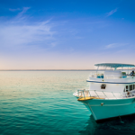Book Red Sea Liveaboard 4 Days (10 Red Sea Dive Liveaboard Reviews) Book a 4 day liveaboard Red Sea Egypt