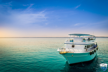 Book Red Sea Liveaboard 4 Days (10 Red Sea Dive Liveaboard Reviews)