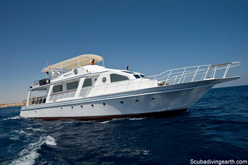 Booking A 5 Day Liveaboard Red Sea (Short Stay Egypt Liveaboard Diving)