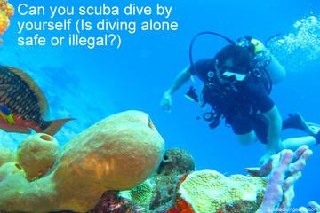 Can You Scuba Dive By Yourself? (Is Diving Alone Safe or Illegal?)