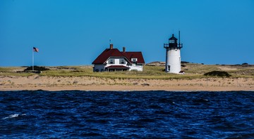 Best Time To See Great White Sharks In Cape Cod