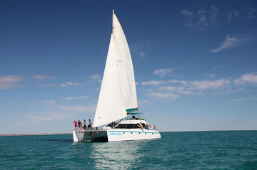 15 Catamaran Diving Liveaboards: + 5 Catamaran Advantages