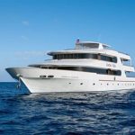 Comparison of Maldives Liveaboards Carpe Novo vs Carpe Vita vs Carpe Diem small