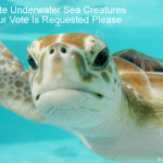Cute Underwater Sea Creatures (Your Vote Is Needed) Cute Underwater Sea Creatures - Your Vote Is Requested Please small
