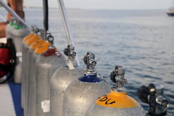 What Happens If You Run Out Of Air While Scuba Diving?