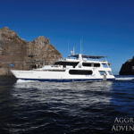 Galapagos Aggressor III Liveaboard Review: One of The Best Liveaboards Galapagos Aggressor III Liveaboard Review small