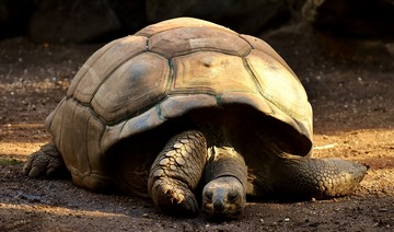 How To Get To Galapagos From Ecuador