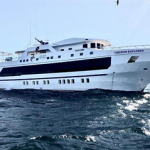 Galapagos Tiburon Explorer Liveaboard Review: New Top Liveaboard Galapagos Tiburon Explorer Liveaboard Review small