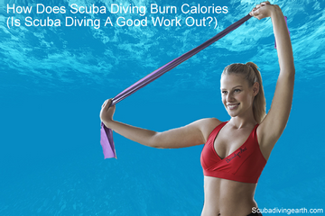 How Does Scuba Diving Burn Calories (Is Scuba Diving A Good Work Out?)