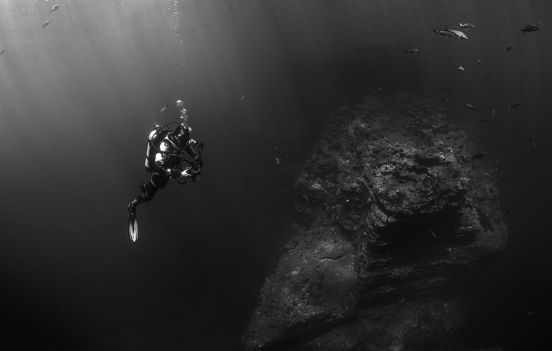 Can You Dive 50 Meters?