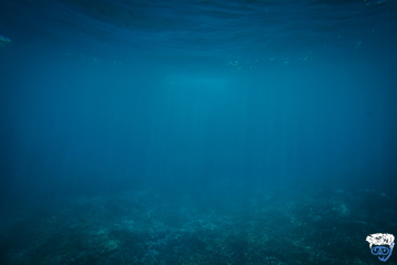 At What Depth Can You Get Decompression Sickness?