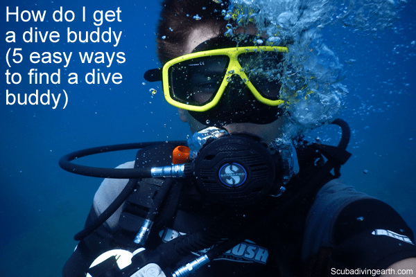 How Do I Get a Dive Buddy? (6 Easy Ways To Find a Dive Buddy)