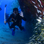 How Expensive Is Scuba Diving As A Hobby? How expensive is scuba diving as a hobby small