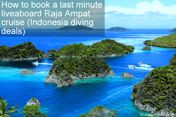 How To Book a Last Minute Liveaboard Raja Ampat Cruise (Indonesia Diving Deals)
