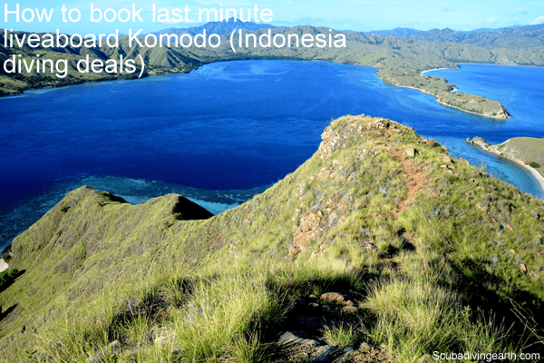 How To Book Last Minute Komodo Liveaboard (Indonesia Diving Deals)