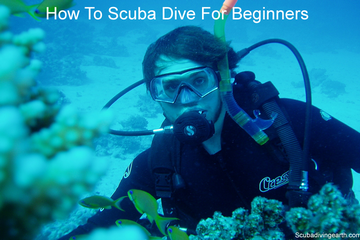 How To Scuba Dive For Beginners (7 Skills To Master As A Beginner Diver)