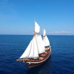 Indonesia Coralia liveaboard review small