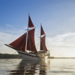 Indonesia Tiare Cruise Liveaboard Review Indonesia Tiare Cruise liveaboard review small