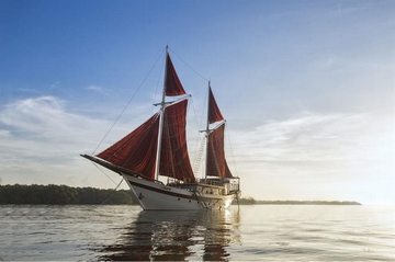 Indonesia Tiare Cruise Liveaboard Review