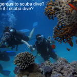 Is It Dangerous To Scuba Dive? (10 Of The Biggest Dangers Divers Face) Is it dangerous to scuba dive - Can I die if I scuba dive small