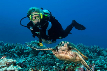 Liveaboard Diving in Hawaii: Best Time Dive Kona Aggressor II