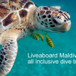Liveaboard Maldives short all inclusive dive trips days - Liveaboard Maldives 3 days and 5 days