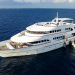 Maldives Blue Carpe Diem liveaboard review small