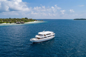 Maldives Blue Shark One Liveaboard Review