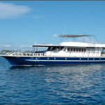 Maldives Blue Spirit liveaboard review small